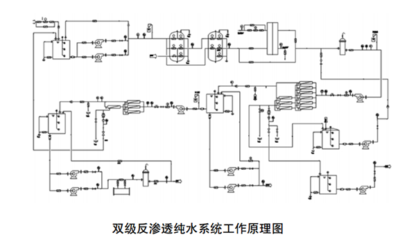 双极反渗透纯水系统工作原理图